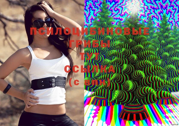 меф Дмитров