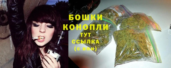 тгк Дмитровск
